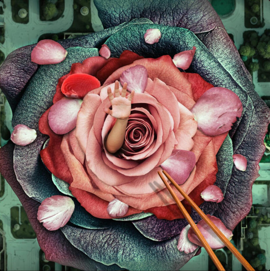 MIGMA SHELTER “Any Colours